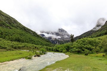 稻城亞丁洛絨牛場雪山草甸河流