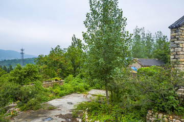 棗莊新農(nóng)村建設(shè)