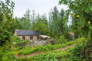 棗莊新農(nóng)村建設(shè)