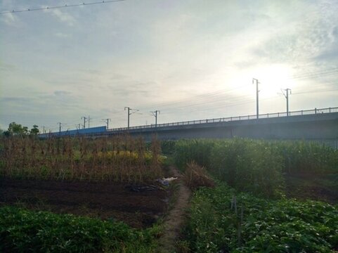 鐵路高架橋