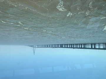 嘉紹大橋
