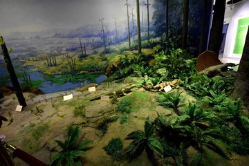 國家地質(zhì)公園
