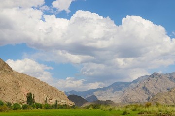 濕地美景