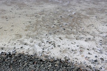 茶卡鹽湖