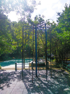 公園活動