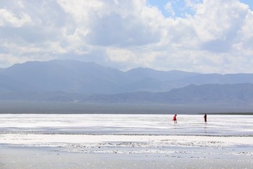 茶卡鹽湖