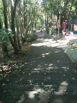 山間小道