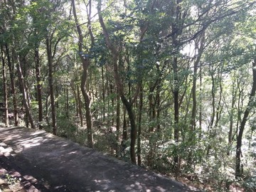 山間小道