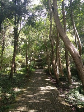 山間小道