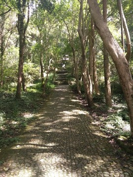 山間小道