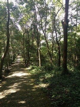 山間小道