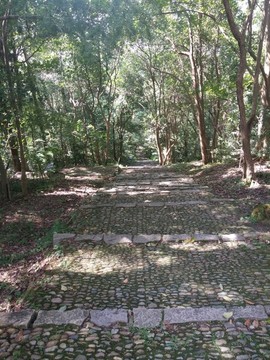 山間小道