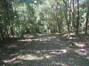 山間小道