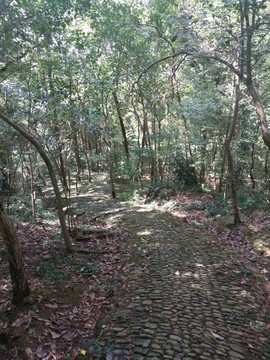 山間小道