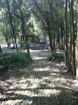 山間小道