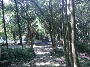 山間小道