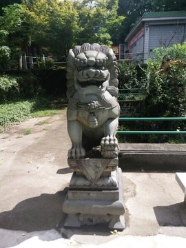 躍龍山風(fēng)光