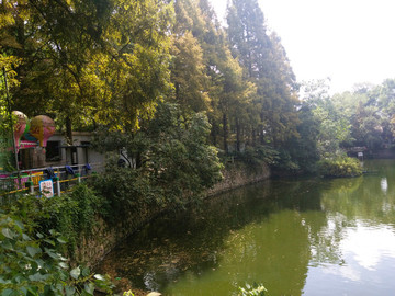 躍龍山風(fēng)光