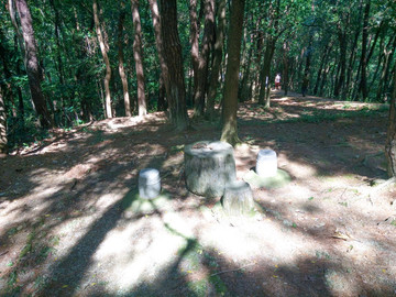躍龍山風光