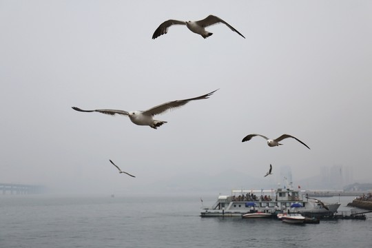 大連海上風(fēng)光