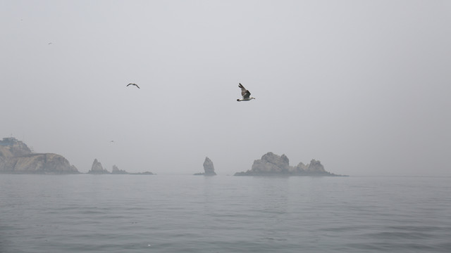 大連海上風(fēng)光