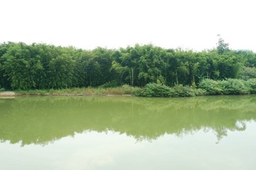竹海