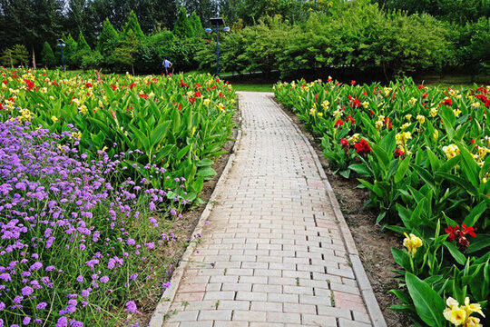 花圃步道