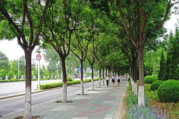 市區(qū)大街人行道