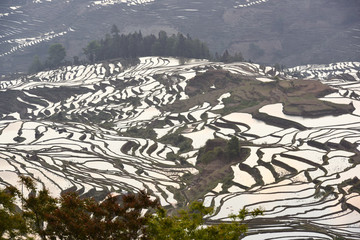 梯田