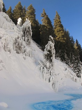雪絨