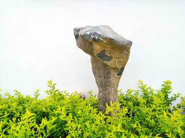 假山
