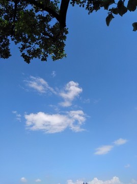 藍(lán)天白云