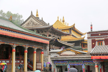 青海塔爾寺的特色建筑