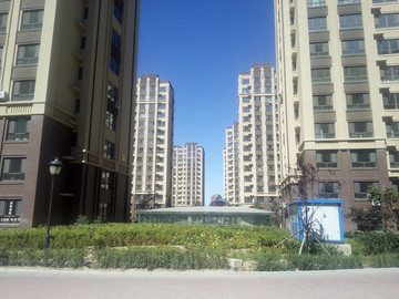 小區(qū)綠化