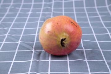 軟籽石榴