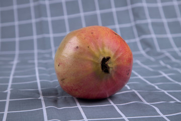 軟籽石榴
