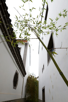 白墻綠竹