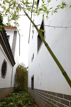 白墻綠竹