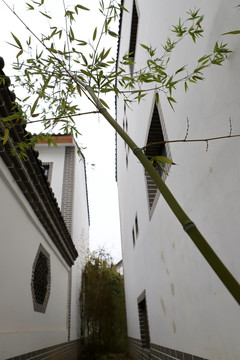 白墻綠竹