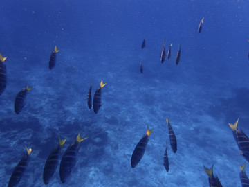 海底世界