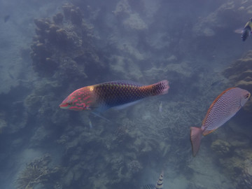 海底世界