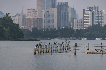 玄武湖