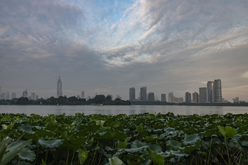 玄武湖