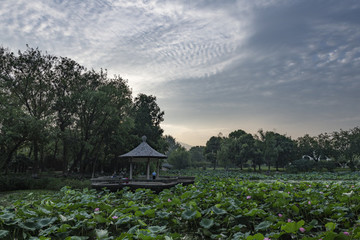 情侶園