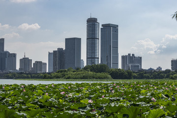 玄武湖