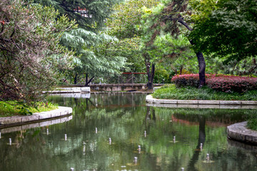小區(qū)綠化水池景觀(guān)