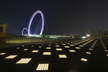 南京眼步行橋夜景