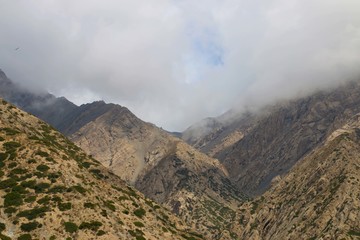 山霧