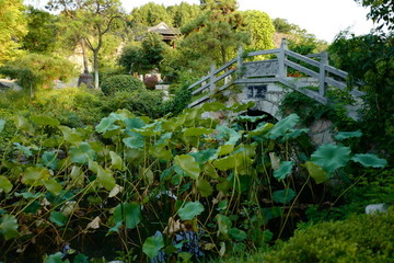 中式園林