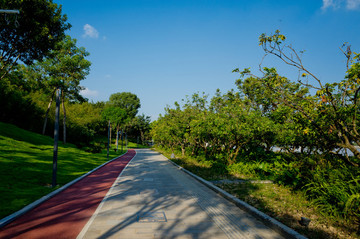 公園綠道